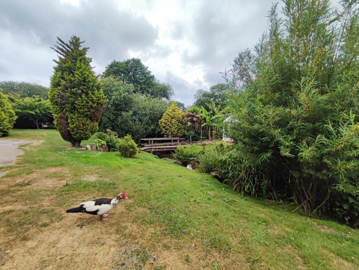 Tree Fern Barn Villa เซนต์ออสเทลล์ ภายนอก รูปภาพ